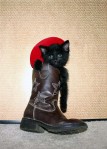 Cat - Cowboy Boot (CC)