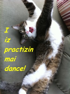Diva Kitty practizin dance   ©2012