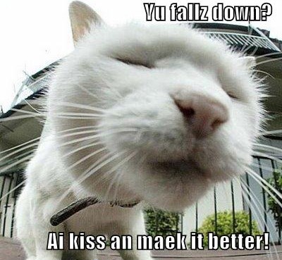 Kitty Kiss LOL Cat