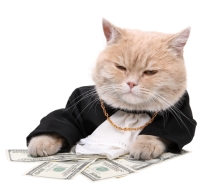 fat-cat-in-da-money