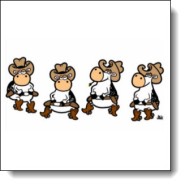 linedancing-cows