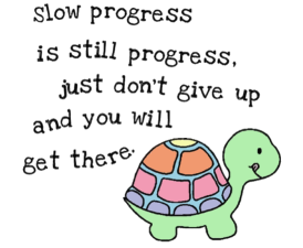 Slow Progress is still Progress